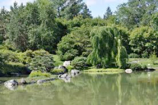 Jardin botanique